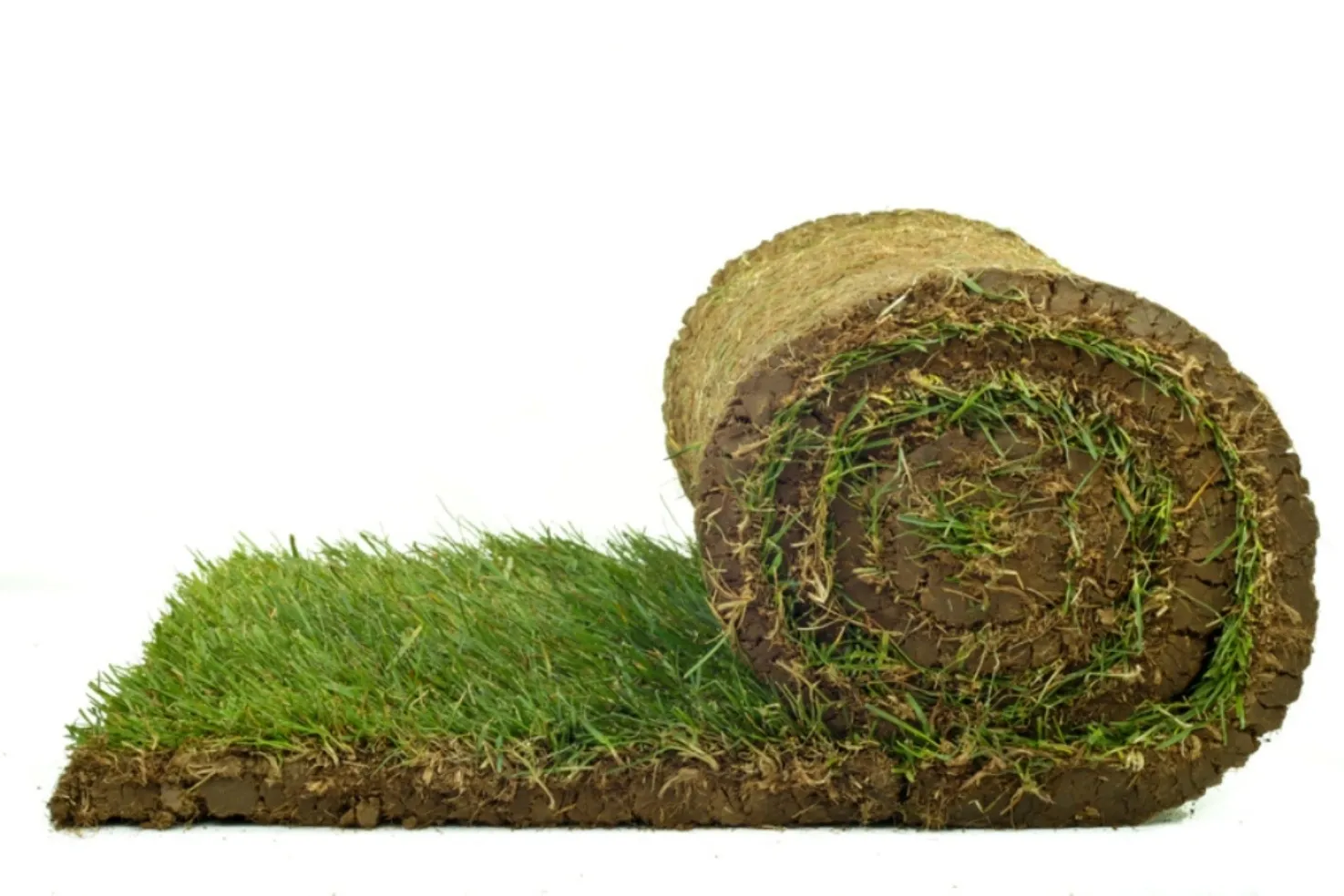 Rollrasen online kaufen bei OBI | OBI.de